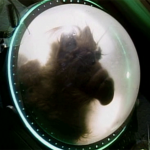 alf-serie-tv-1er-episode