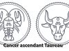 Cancer ascendant Taureau