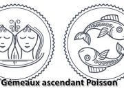 Gémeaux ascendant Poisson