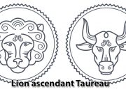 Lion ascendant Taureau