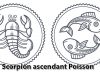 Scorpion ascendant Poisson