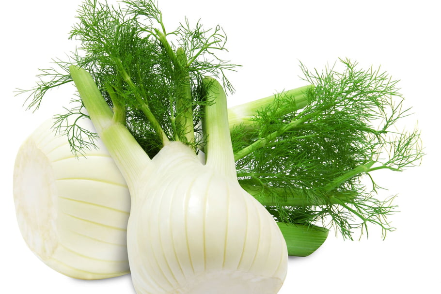 vertus et recettes du fenouil