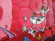 Il était une fois la vie dessin animé