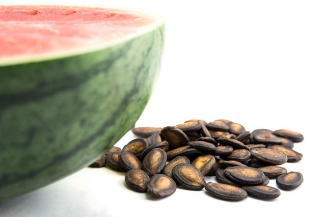 pépins de pastèque