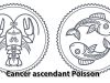 Cancer ascendant Poisson