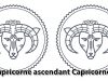 Capricorne ascendant Capricorne