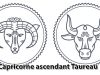 Capricorne ascendant Taureau