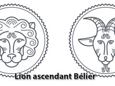 Lion ascendant Bélier