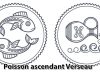 Poisson ascendant Verseau
