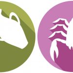 signe-verseau-ascendant-scorpion