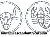 Taureau ascendant Scorpion