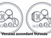 Verseau ascendant Verseau
