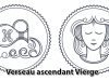 Verseau ascendant Vierge